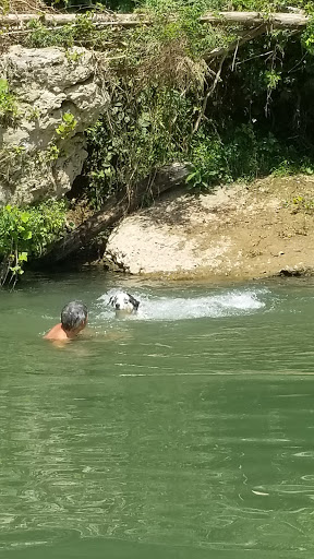 Horseback Riding Service «Long C Trails», reviews and photos, 8959 Hanes Rd, Westmoreland, TN 37186, USA