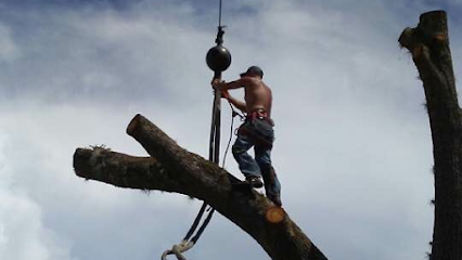 Ronnie Beam’s Tree Service, LLC