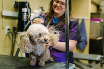 Regal Pet Resort - Photo 3 - Car repair in Lubbock, TX, Lubbock