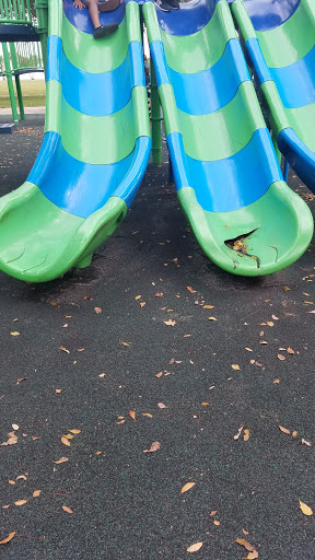 Park «Miami Carol City Park», reviews and photos, 3201 NW 185th St, Miami Gardens, FL 33056, USA