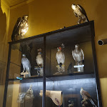 Photo n° 4 de l'avis de Bako.a fait le 14/10/2023 à 09:08 pour Musée de la Chasse et de la Nature à Paris