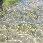 Photo n°2 de l'avis de Dario.r fait le 25/10/2017 à 23:57 sur le  Stab.Balneare tranquility Ltd. à Fiumicino