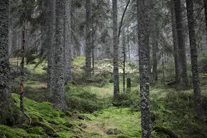 Kindla - Nature reserve image