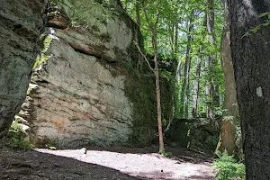 Rock City State Forest image