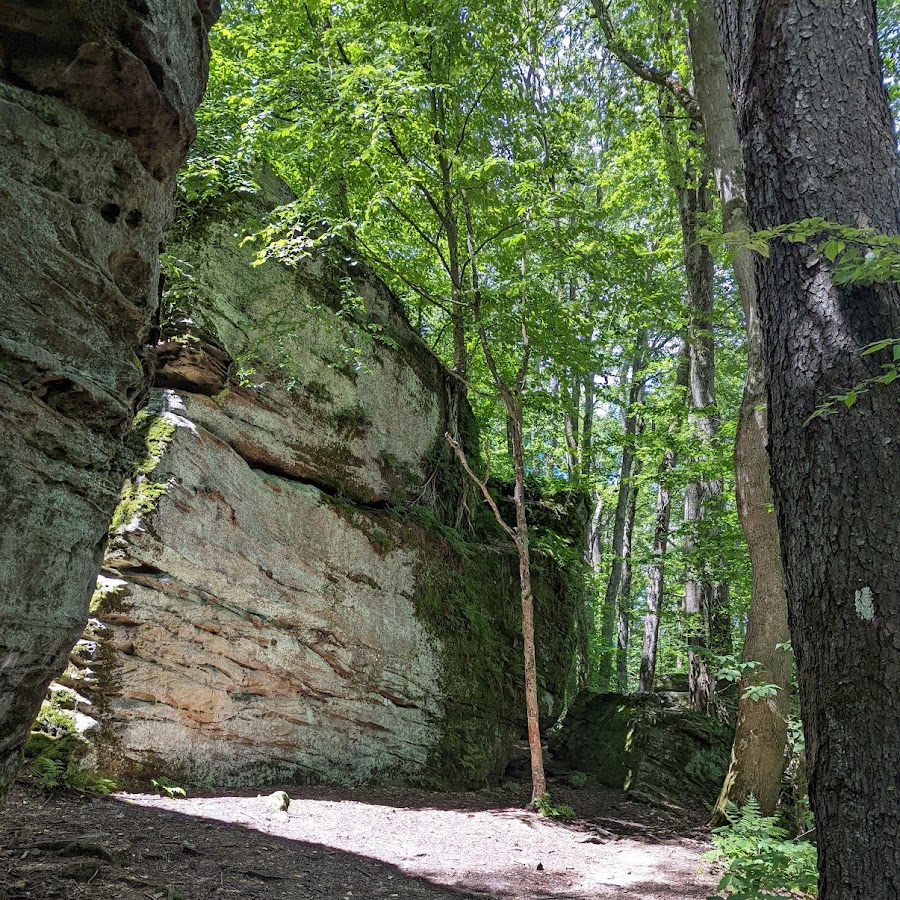 Rock City State Forest