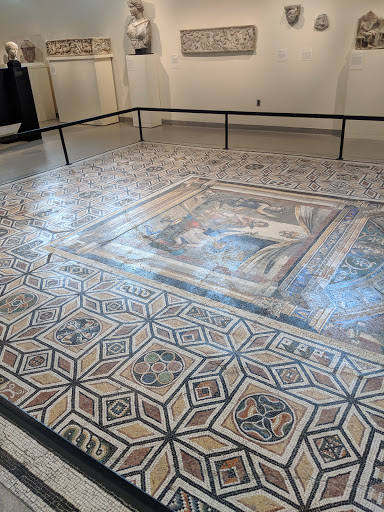 Museum «Princeton University Art Museum», reviews and photos, Elm Dr, Princeton, NJ 08544, USA