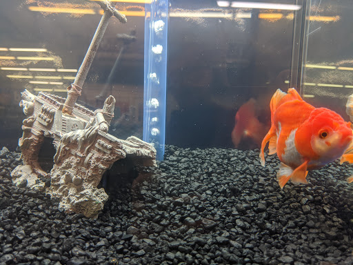 Pet Store «Tropic Waters», reviews and photos, 3015 E Hamilton Ave, Eau Claire, WI 54701, USA