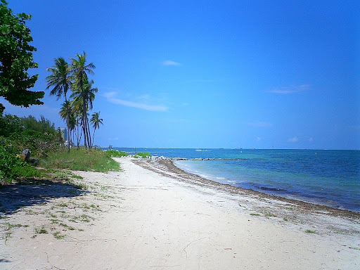 Park «Historic Virginia Key Beach Park», reviews and photos, 4020 Virginia Beach Dr, Miami, FL 33149, USA