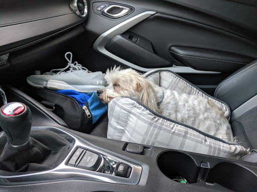 Gym «Elite Progression-CrossFit Mahopac», reviews and photos, 862 US-6, Mahopac, NY 10541, USA