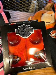 Photo n°6 de Harley-Davidson District 78 à Chambourcy ()