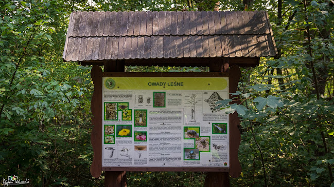 Comentarii opinii despre Punkt Informacji Turystycznej Biebrzańskiego Parku Narodowego