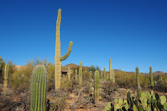 Arizona-Sonora Desert Museum