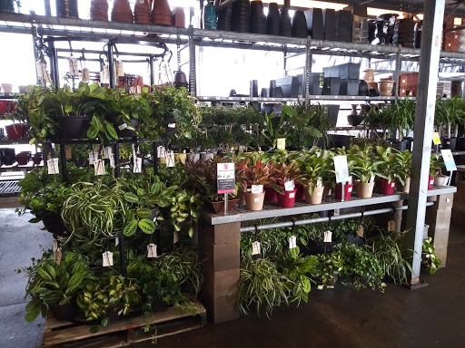 Home Improvement Store «The Home Depot», reviews and photos, 100 Abner Jackson Pkwy, Lake Jackson, TX 77566, USA