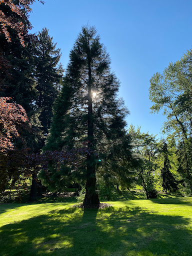 Park «Mark Twain Park», reviews and photos, 10625 132nd Ave NE, Kirkland, WA 98033, USA