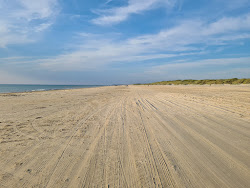 Gronhoj Beach的照片 野外区域
