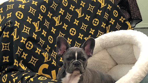 Barber Shop «Big Apple Style Barbershop», reviews and photos, 105 S Federal Hwy, Dania Beach, FL 33004, USA