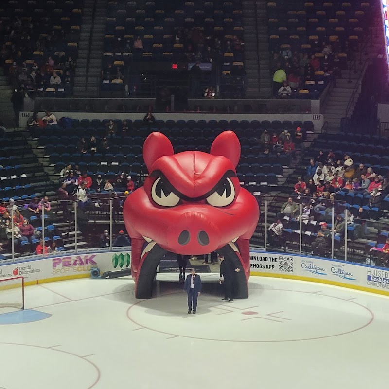 Rockford IceHogs Pro Hockey