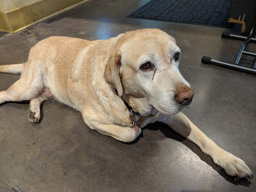 Bicycle Store «Bike Land», reviews and photos, 19189 I-45 B, Shenandoah, TX 77385, USA