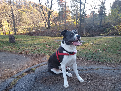 Golf Course «Steele Creek Park Golf Course», reviews and photos, 20 Little Ln, Bristol, TN 37620, USA