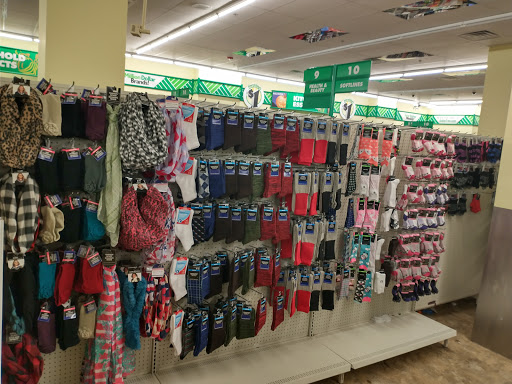 Dollar Store «Dollar Tree», reviews and photos, 100 Mamaroneck Ave, White Plains, NY 10601, USA