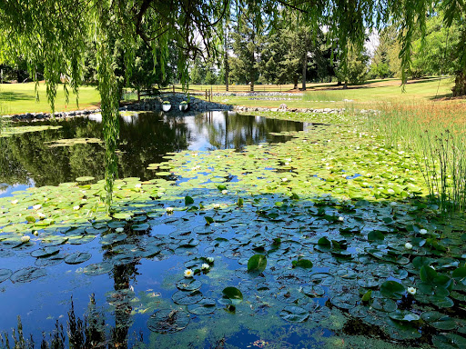 Golf Course «Allenmore Golf Course», reviews and photos, 2013 S Cedar St, Tacoma, WA 98405, USA