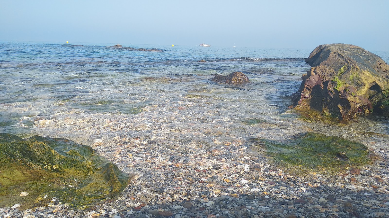 Playa de Cala Sardina photo #9