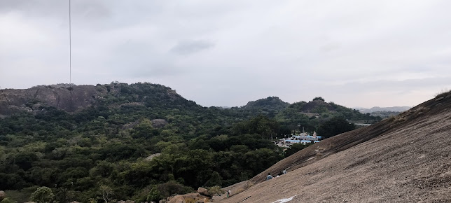 Google Maps image 29