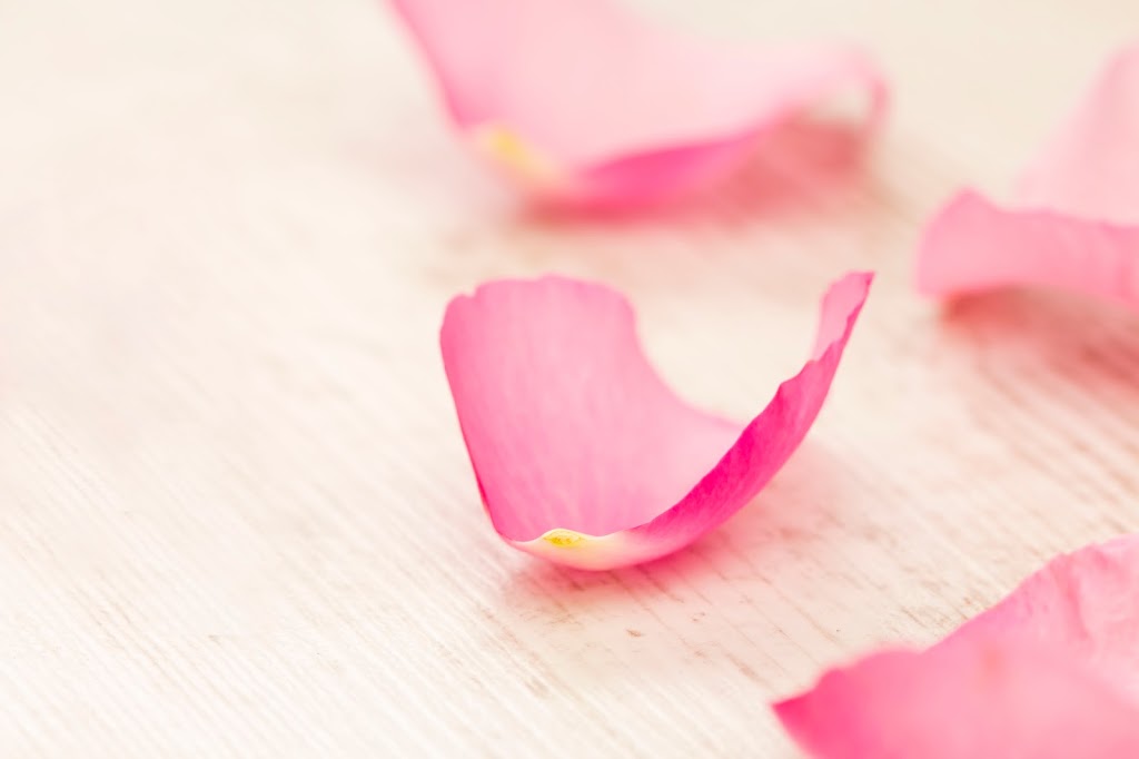 Bloom Spa 81657