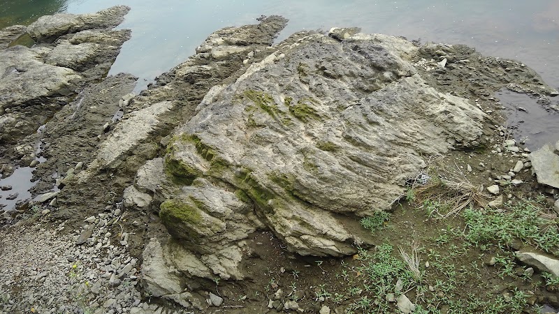 宇治川の亀石