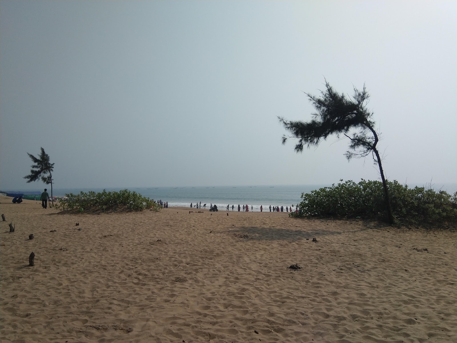 Fotografija Marine Drive Beach nahaja se v naravnem okolju