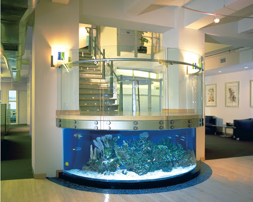 Tropical Fish Store «House of Fins», reviews and photos, 99 Bruce Park Ave, Greenwich, CT 06830, USA