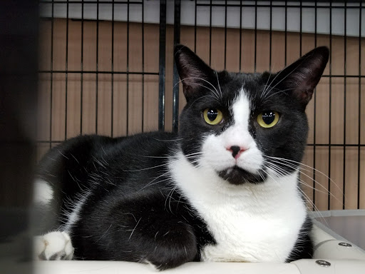 Pet Store «Pet Valu», reviews and photos, 404 E High St, Carlisle, PA 17013, USA