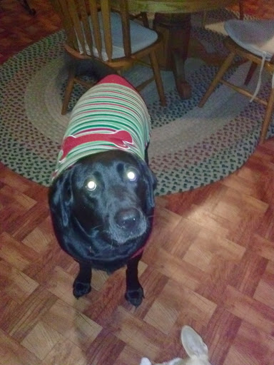 Public Golf Course «Neshaminy Valley Golf Club - OPEN to PUBLIC», reviews and photos, 440 Almshouse Rd, Richboro, PA 18954, USA