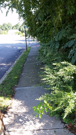 Car Repair and Maintenance «Pep Boys Auto Service & Tire», reviews and photos, 79 NJ-35, Eatontown, NJ 07724, USA