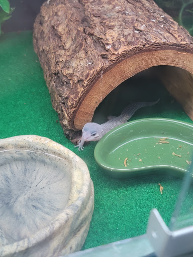 Pet Store «Pets World», reviews and photos, 147 Bridge St, Weymouth, MA 02191, USA