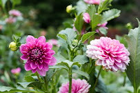 Lenhart Photography - Photo 5 - Car repair in Bethlehem, PA, Allentown