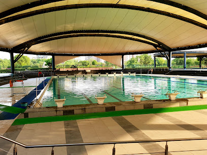 CWG Swimming Pool
