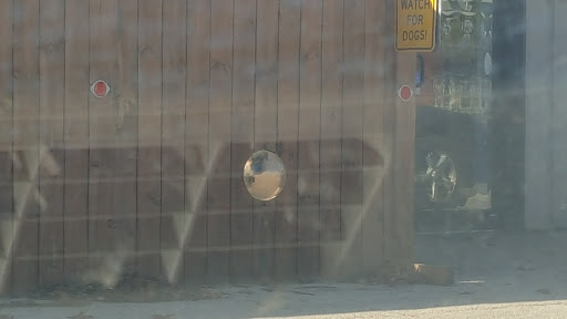 Pet Groomer «Delaware Pet Stuff», reviews and photos, 435 Dunlap St, Delaware, OH 43015, USA