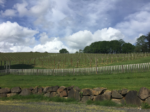 Winery «Belle Pente Vineyard & Winery», reviews and photos, 12470 NE Rowland Rd, Carlton, OR 97111, USA