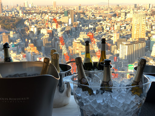 Hotels rooftop bar Tokyo