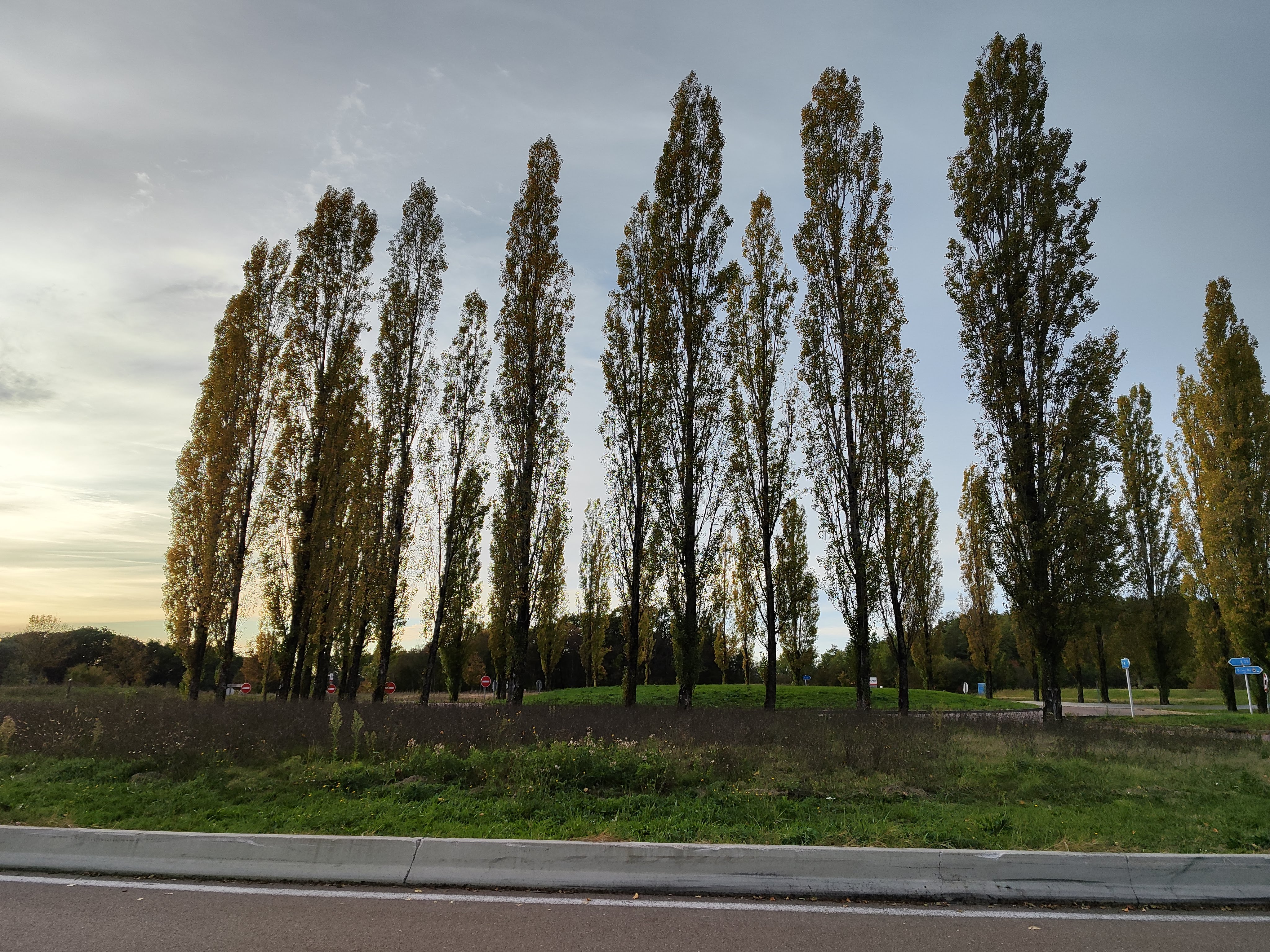 Photo n° 24 de l'avis de Milan.� fait le 16/10/2023 à 15:49