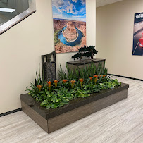 Plantique Florida - Interior Plant Design - Photo 6 - Car repair in Greenacres, FL, West Palm Beach