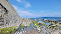 Playa De Sakoneta'in fotoğrafı vahşi alan