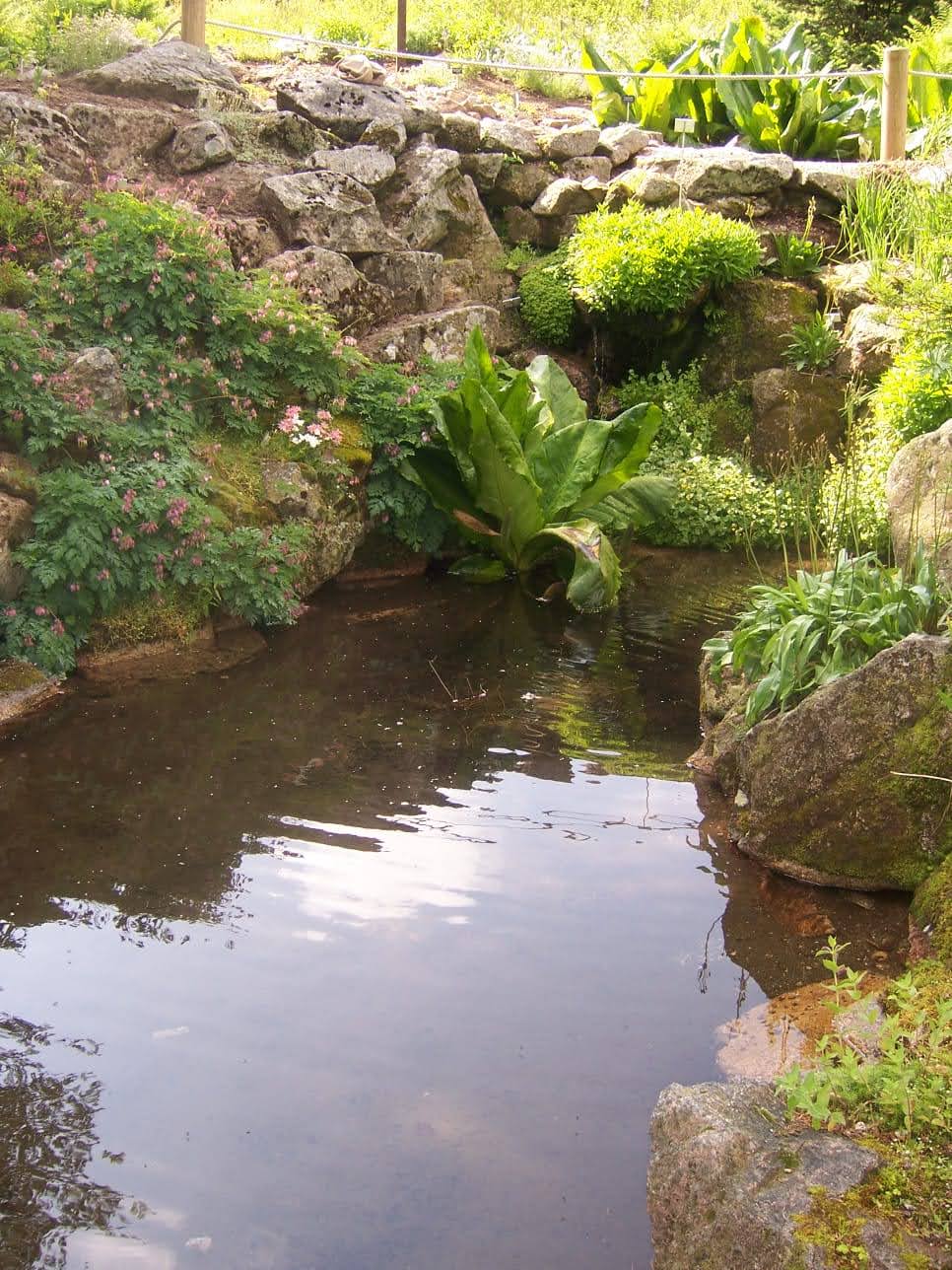 Photo n° 13 de l'avis de Christiane.e fait le 15/06/2021 à 17:16