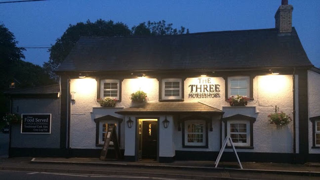 Reviews of The Three Horseshoes Inn in Newport - Pub