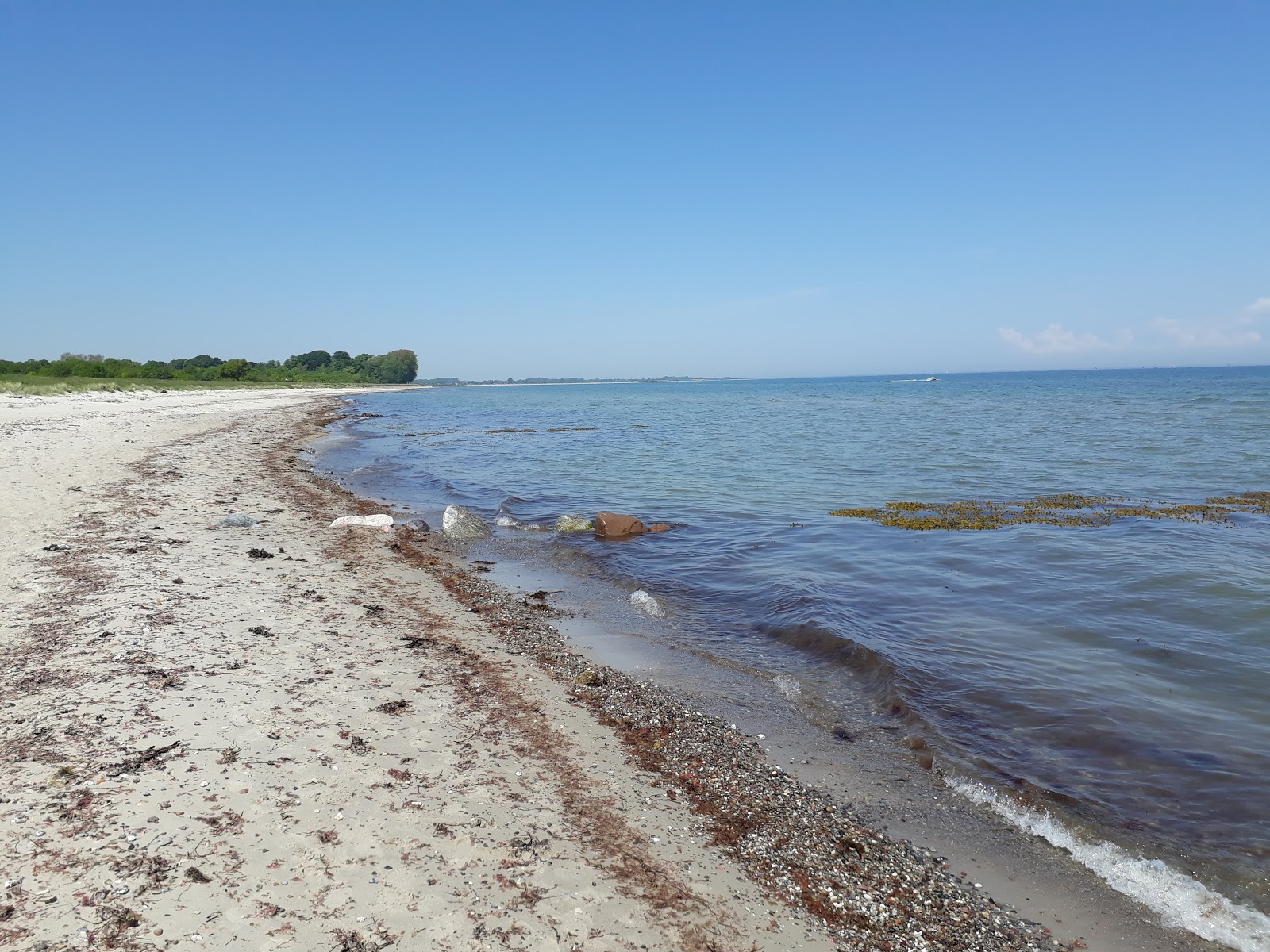 Valokuva Maasholm strandista. puhtaustasolla korkea
