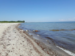 Photo de Maasholm strand avec un niveau de propreté de très propre