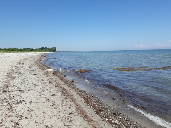 Maasholm strand