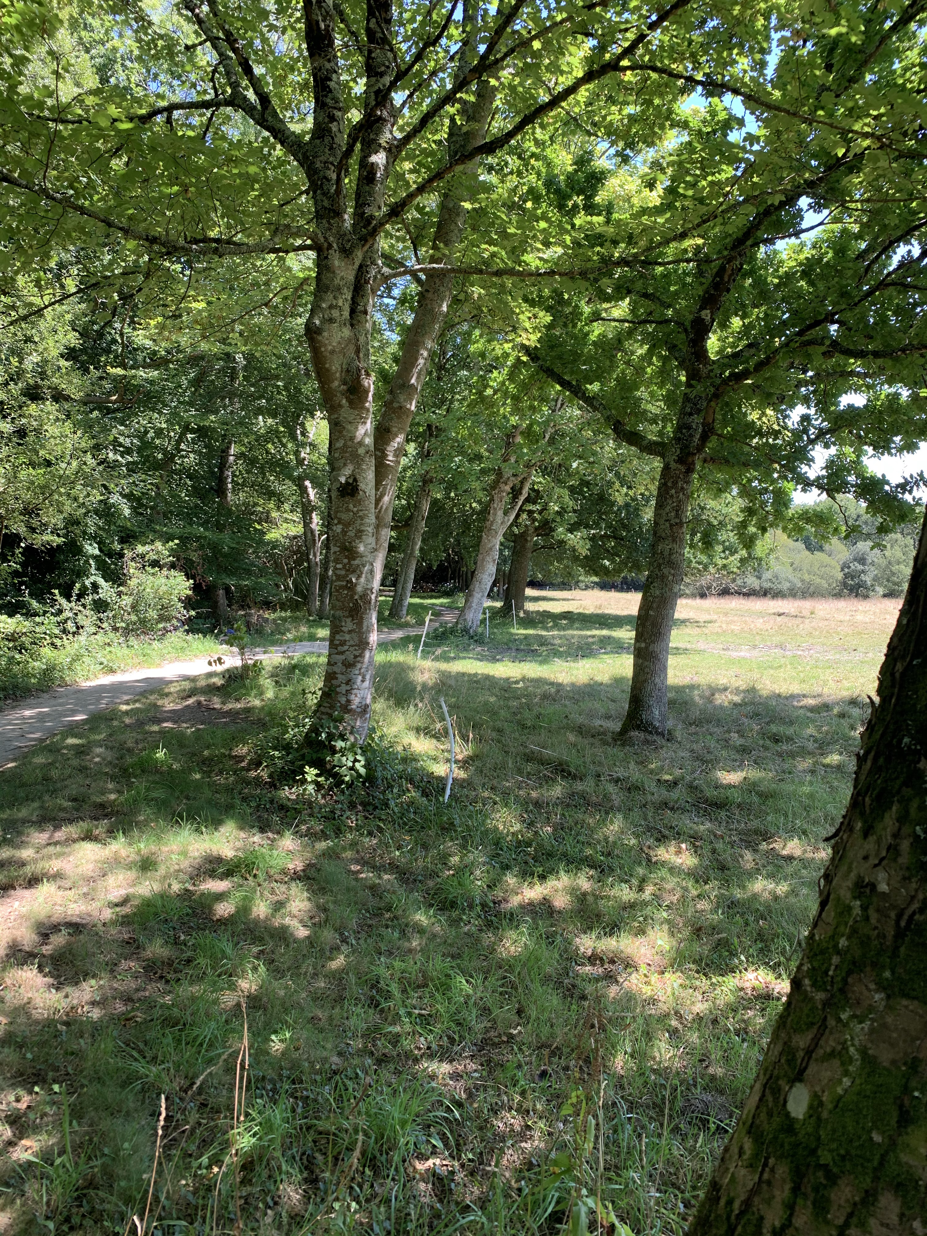 Photo n° 17 de l'avis de Liliane.l fait le 22/07/2020 à 11:56