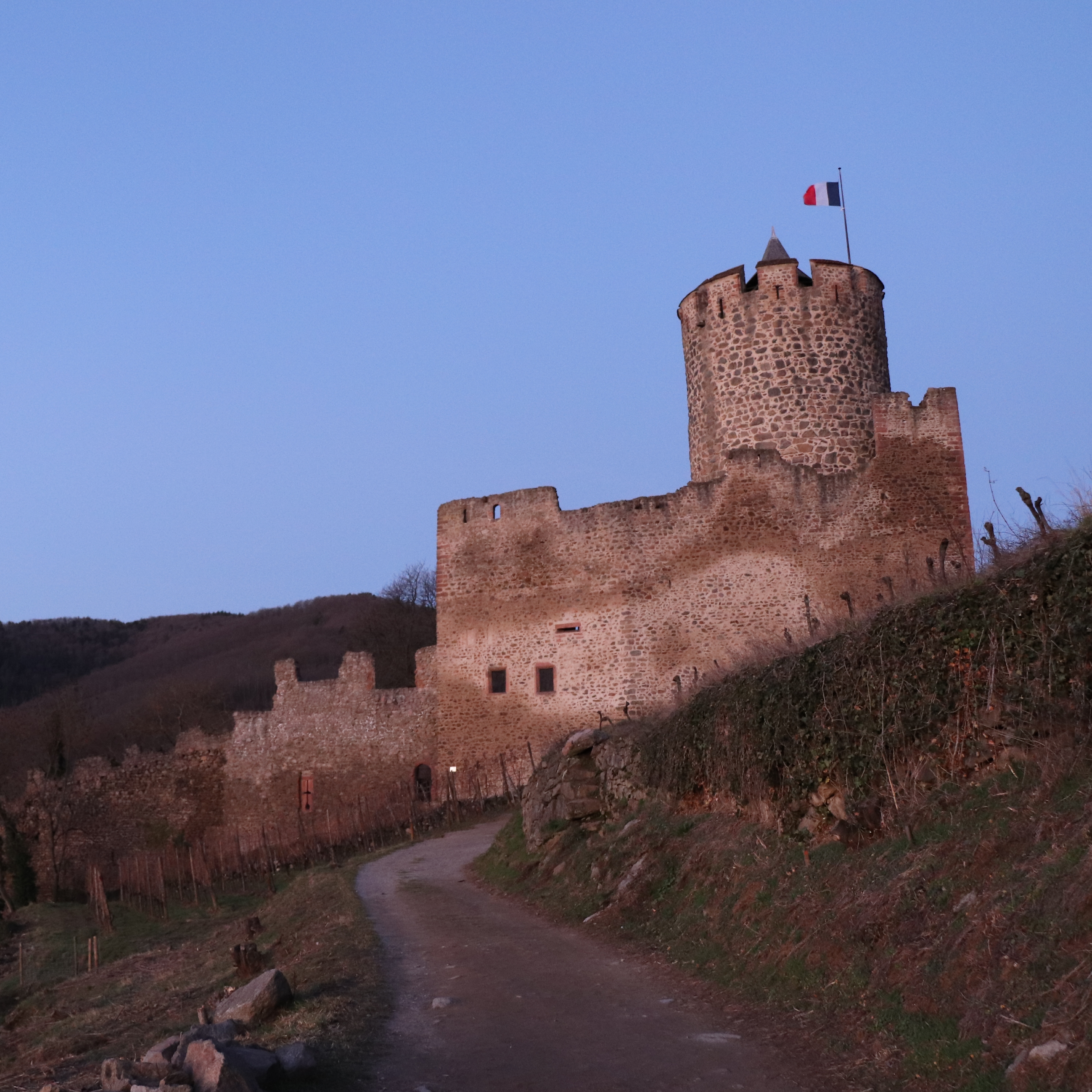 Photo n° 1 de l'avis de Thomas.c fait le 19/02/2019 à 15:46